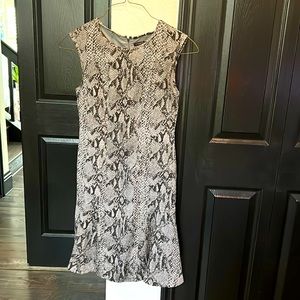 Ann Taylor Snake Skin pattern Dress Size 6